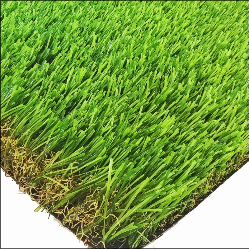 See More About Herbe de jardin (GG35)
